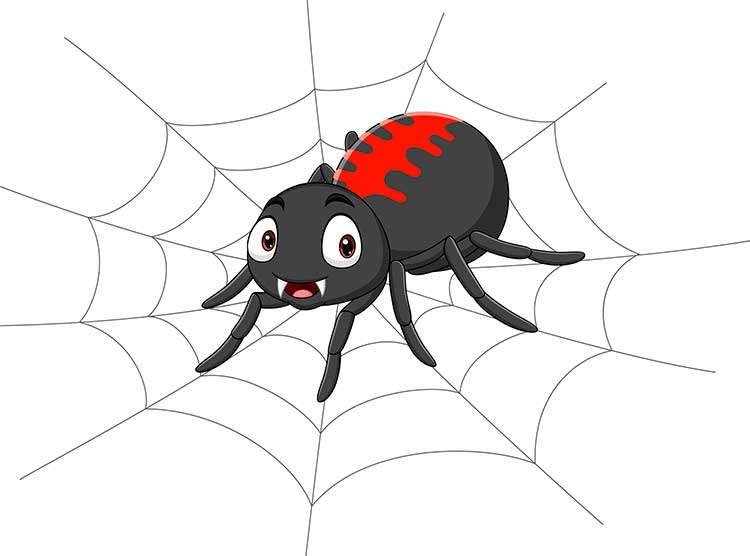 Sonhar com Aranha