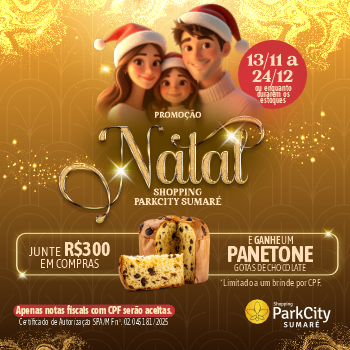 Lotofácil 3564: sorteio é realizado nesta terça-feira, 16 de dezembro - Imagem do artigo original